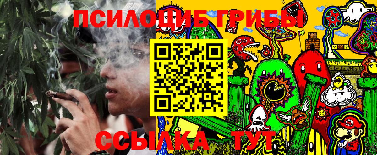 Псилоцибиновые грибы GOLDEN TEACHER Калининград