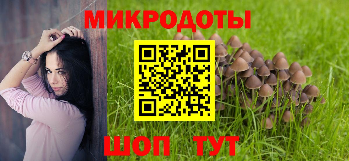 Галлюциногенные грибы прущие грибы  Псилоцибиновые грибы мицелий  Калининград  купить наркоту  Вход с VPN 