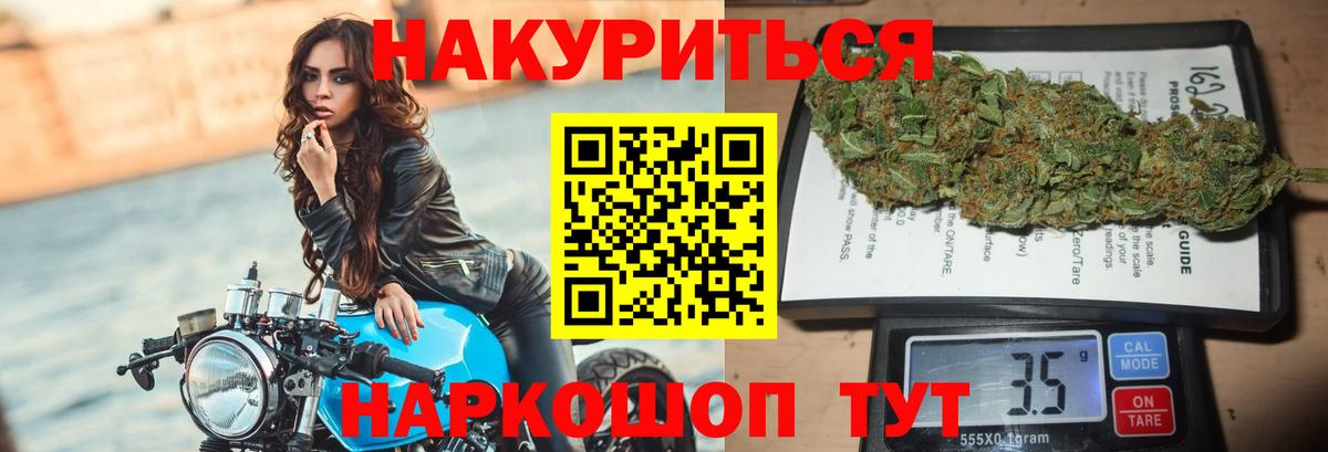 Каннабис конопля Калининград